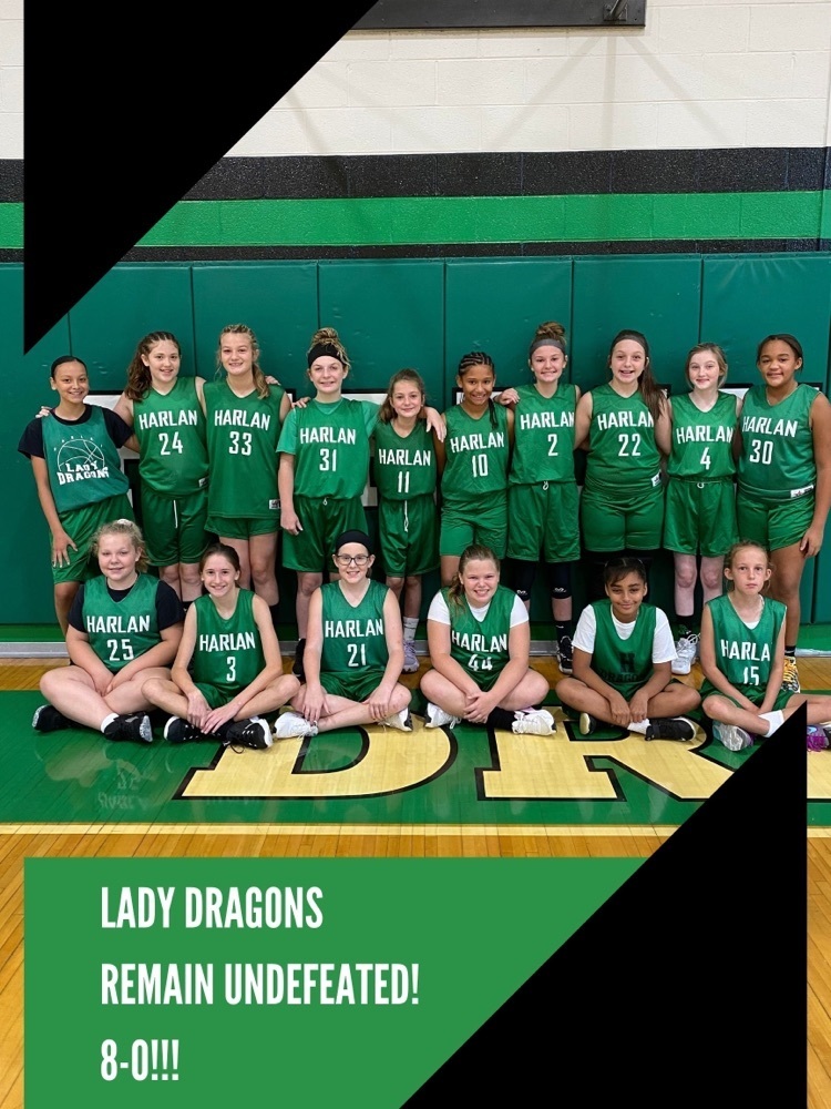 Harlan lady dragons